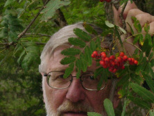 Giorgio Linguaglossa