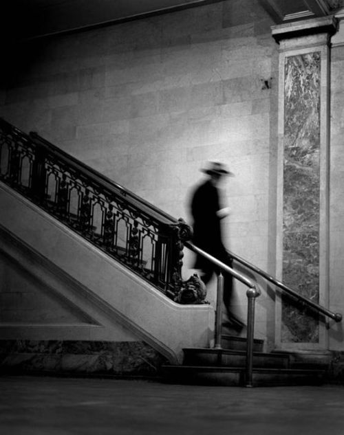 Giorgio Linguaglossa