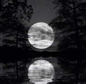 Giorgio Linguaglossa